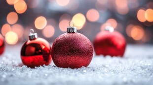 圣诞红饰点缀雪上光斑