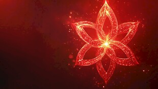 红色闪耀花朵光效图案