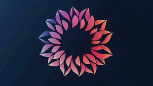 绚丽花瓣环形图案设计