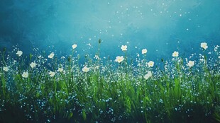 梦幻蓝调草地白花风景图