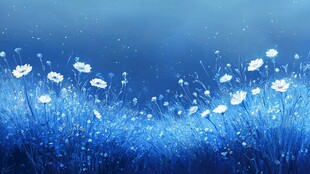 梦幻蓝调雏菊浪漫花海
