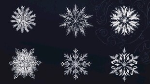精美雪花图案集合