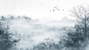 雾霭山林飞鸟图