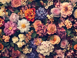 缤纷花卉汇聚的绚丽图景