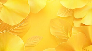 金黄花瓣背景 清新自然风