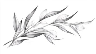 黑白线条绘就的优雅枝叶