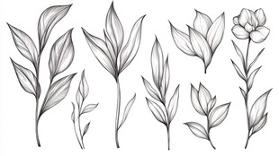 手绘植物叶片与花朵元素