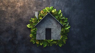 绿叶环绕的创意房屋造型