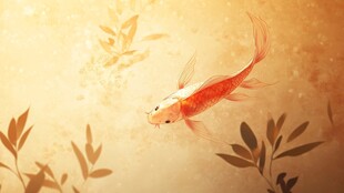 水中锦鲤游弋 植物相伴