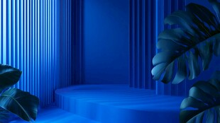 蓝色空间中的绿植展示台