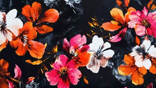 黑色底绚丽花卉图案