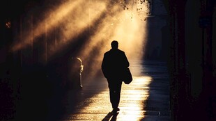 逆光下的独行者