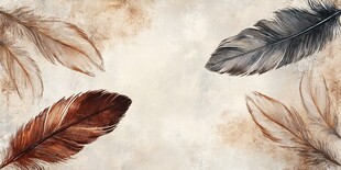 羽毛装饰画 自然简约风