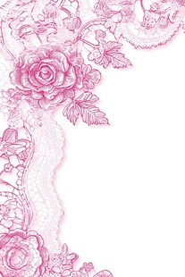 粉色玫瑰蕾丝花边装饰图