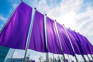 紫色旗帜在蓝天下列队飘扬