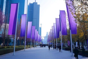 城市街道紫色旗帜景观