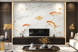 中式客厅电视背景墙金鱼图