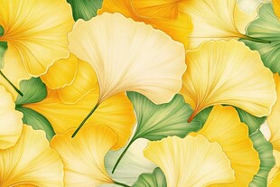 金黄银杏叶的美丽图案