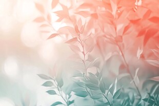 梦幻光影下的清新枝叶