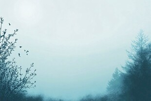 雾霭山林间的静谧景致
