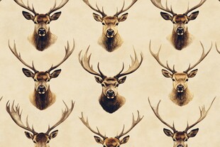 鹿头图案 复古风格艺术设计