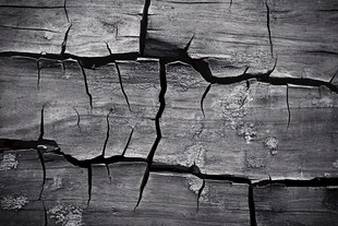 老旧干裂的木纹肌理