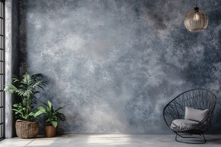 简约灰墙室内植物与座椅