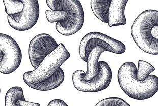 手绘蘑菇图案