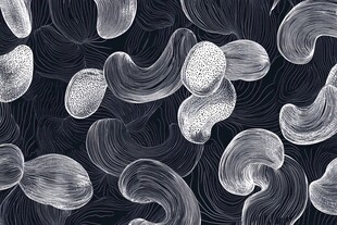 黑白手绘抽象纹理图案