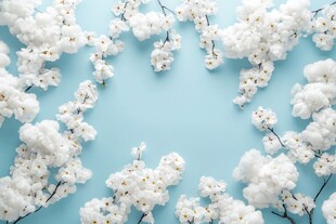 蓝底白花的春日浪漫景象