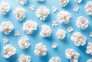 蓝底白花的清新花卉图案