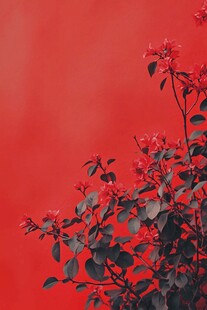 红背景下的娇艳花枝
