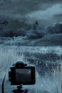 相机捕捉的静谧自然风景