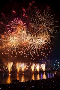 夜空绚烂烟花绽放美景