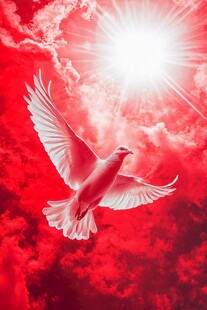 红色天空中展翅飞翔的白鸽