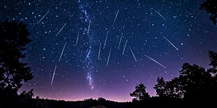 夜空流星划过森林美景