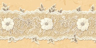 精致白色花朵蕾丝花边