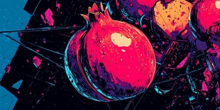 炫彩石榴插画 色彩超惊艳