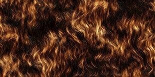 棕色卷曲毛绒纹理图案