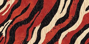 红黑斑马纹抽象图案纹理