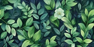 绿叶丛中一朵白花绽放