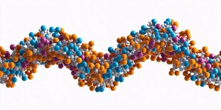 DNA分子结构三维示意图