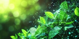 科技赋能下的绿意生机