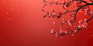 红梅映红背景美如画
