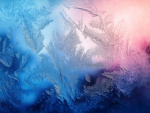 冬日窗上梦幻冰花景观