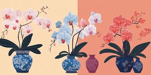 中式花瓶中的多彩兰花