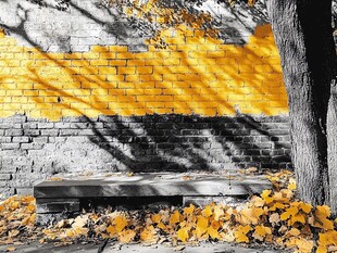 秋日砖墙下的静谧长椅