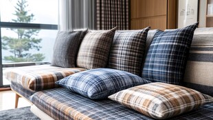 舒适格子沙发搭配多彩抱枕