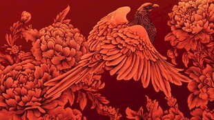 凤凰戏牡丹中式精美插画