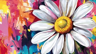 多彩背景下的清新雏菊